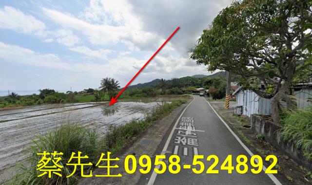 長濱農地法拍-5