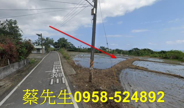 長濱農地法拍-6