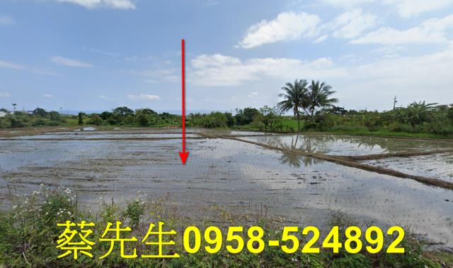 長濱農地法拍-9