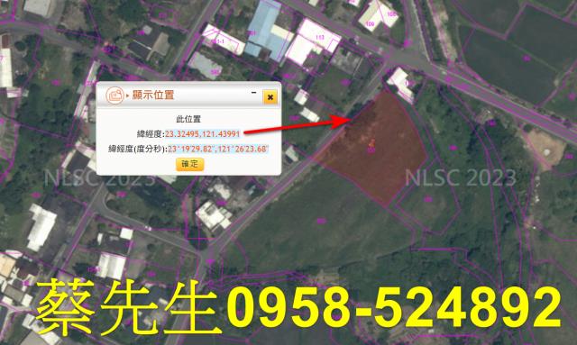 長濱農地法拍-11