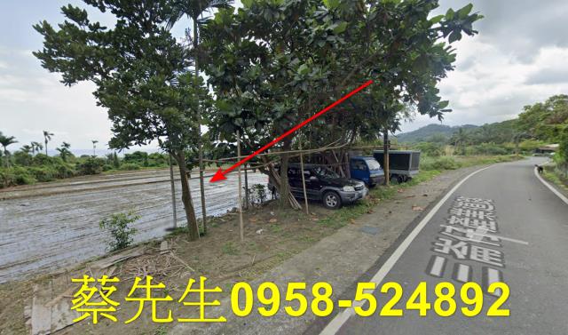 長濱農地法拍-14