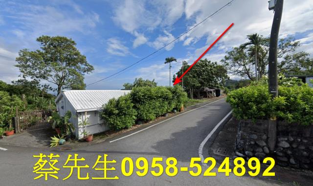 長濱農地法拍-15