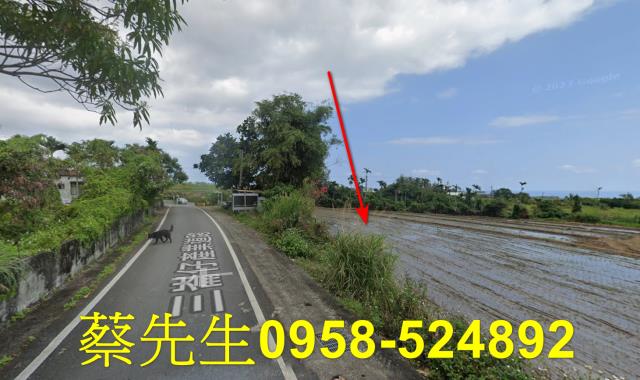 長濱農地法拍-5