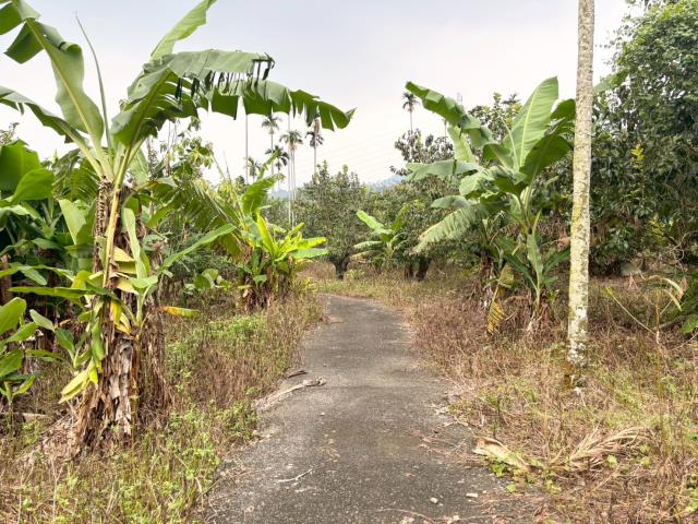 番路農地-3