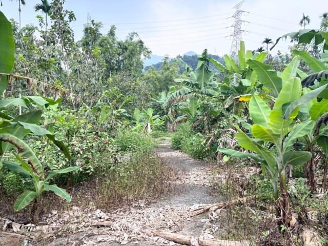 番路農地-4
