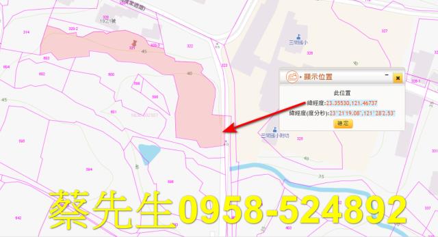 長濱法拍農地-10