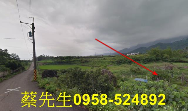 長濱法拍農地-12