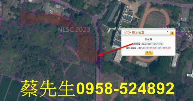 長濱法拍農地-3