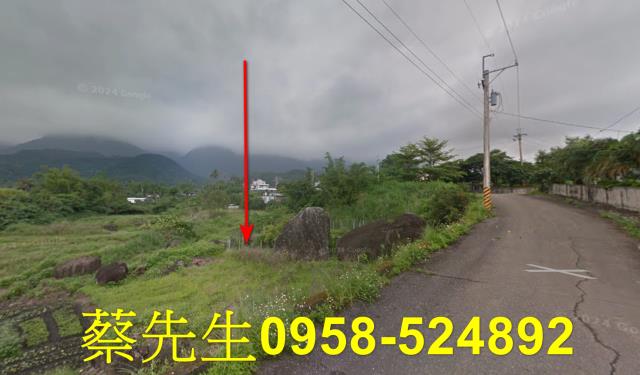 長濱法拍農地-6