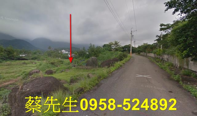 長濱法拍農地-7