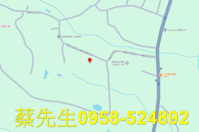 長濱法拍農地-8