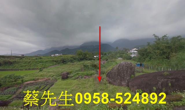 長濱法拍農地-9