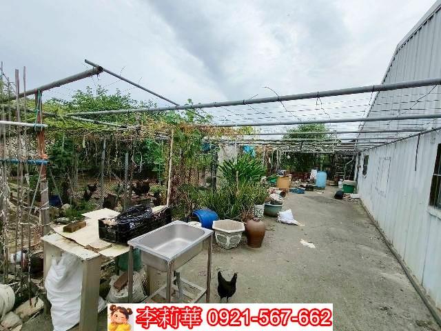 歸仁農地-4
