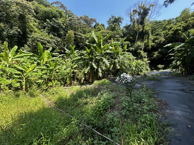 頭屋農地_山坡地_休閒地-11