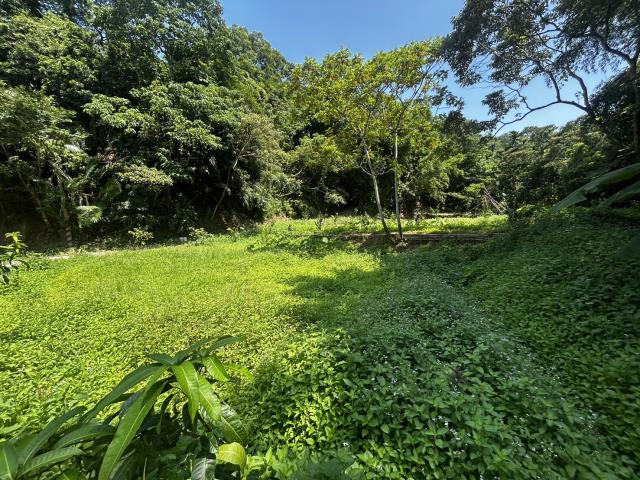 頭屋農地_山坡地_休閒地-2