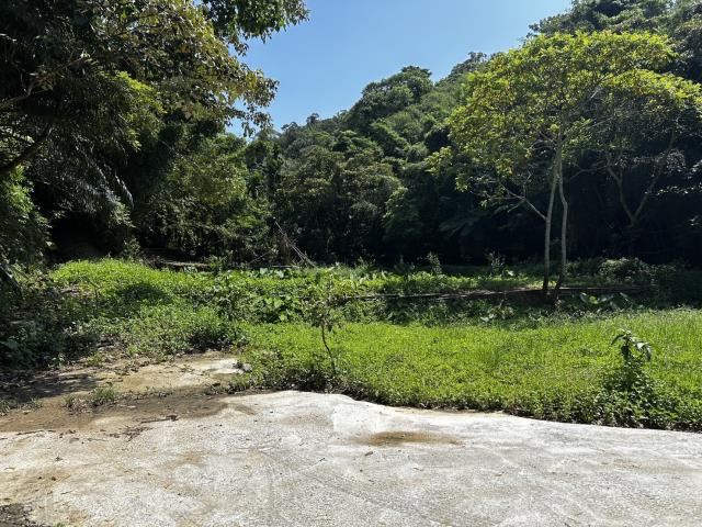 頭屋農地_山坡地_休閒地-3