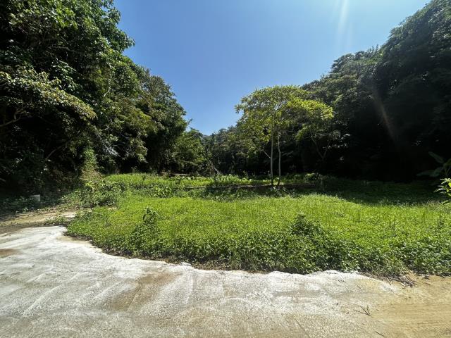 頭屋農地_山坡地_休閒地-4