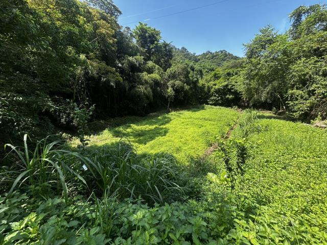 頭屋農地_山坡地_休閒地-7