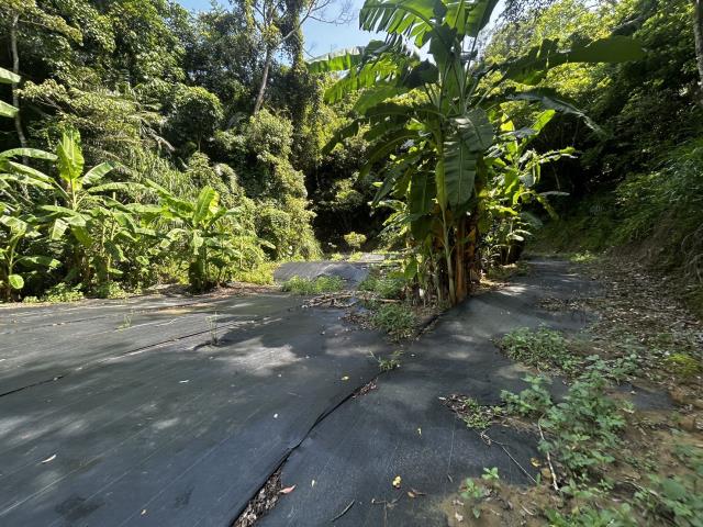 頭屋農地_山坡地_休閒地-9