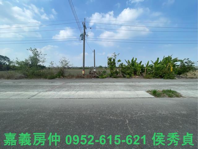 水上農地-1