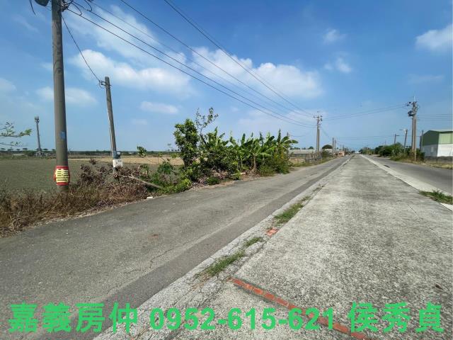 水上農地-5