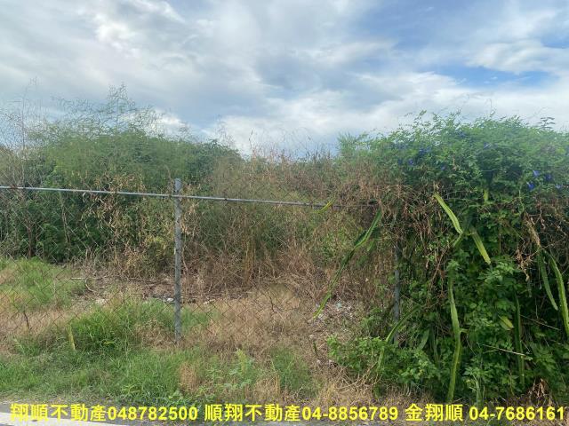 彰化員林農地-10