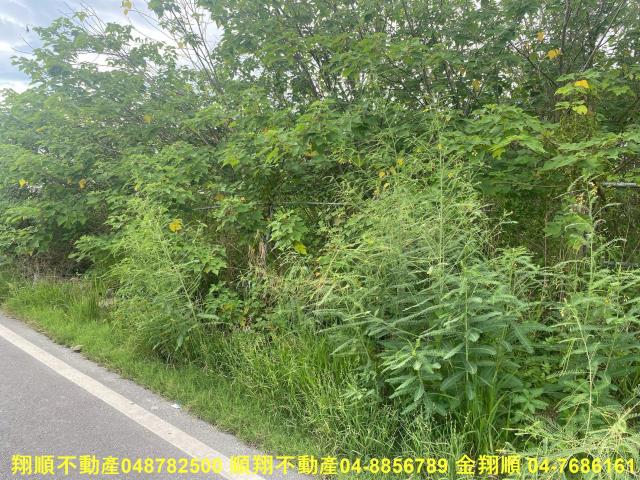 彰化員林農地-3