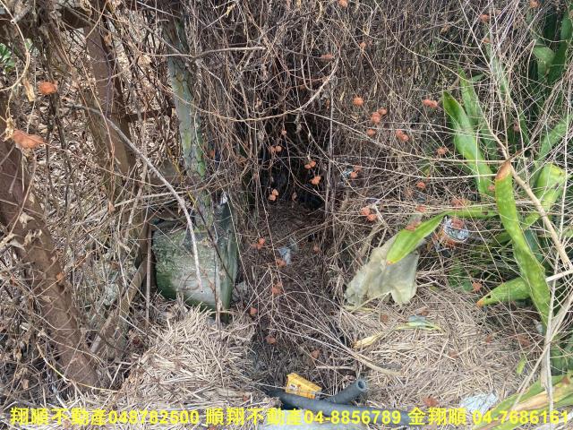 彰化員林農地-4