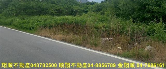 彰化員林農地-6