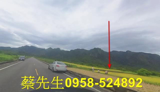 台東長濱農地拍賣-12