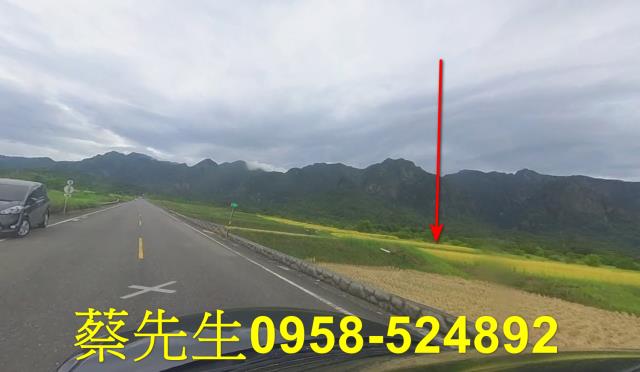 台東長濱農地拍賣-5