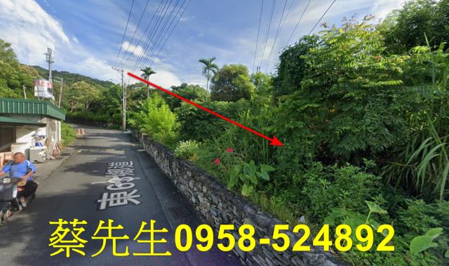 台東太麻里法拍農地-4