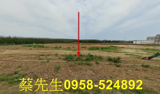 澎湖湖西農地法拍-9