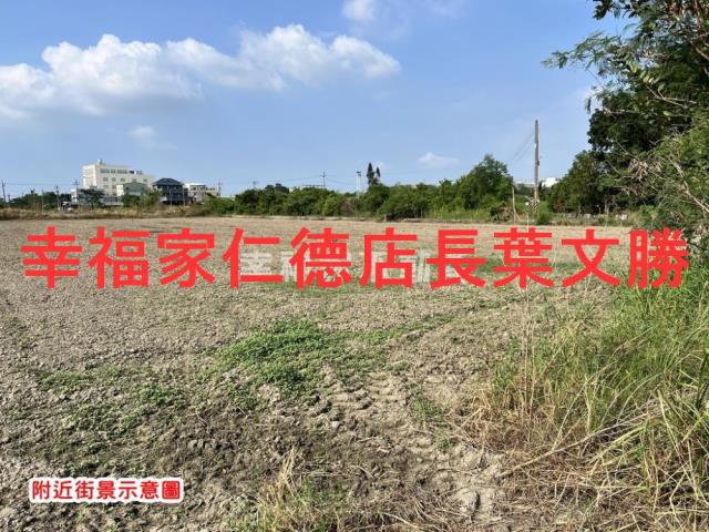 安定農地-6