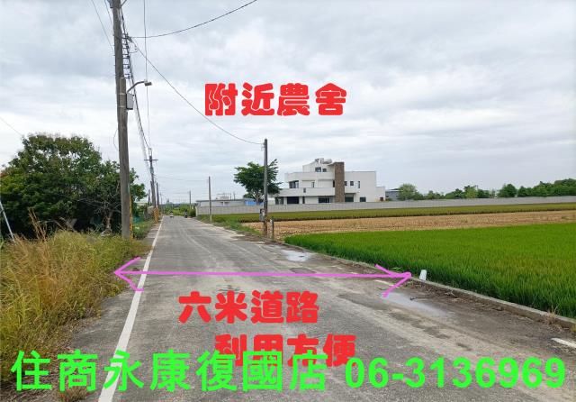 歸仁農地-6