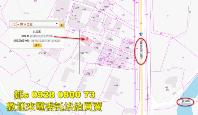 卑南法拍建地-14