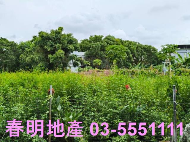 東區農地-0