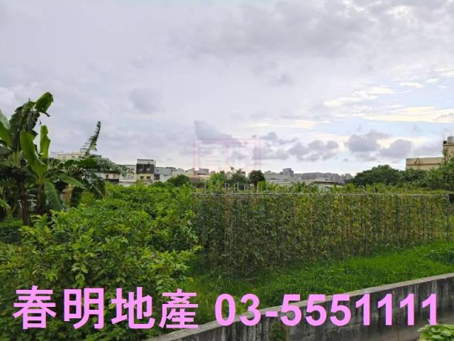 東區農地-1