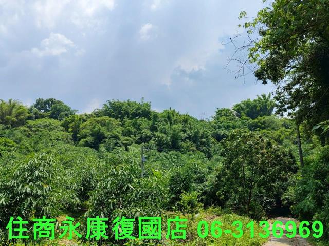 台南左鎮農地_林地-11