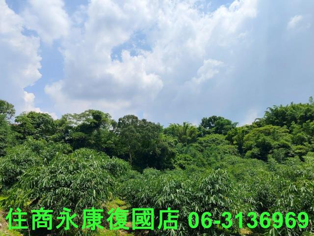 台南左鎮農地_林地-13