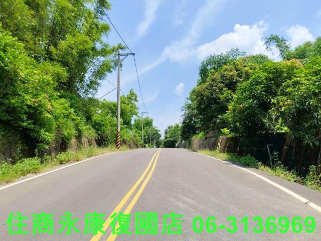台南左鎮農地_林地-2