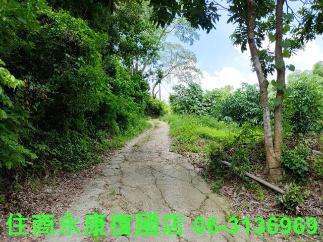 台南左鎮農地_林地-7