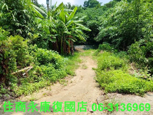 台南左鎮農地_林地-8