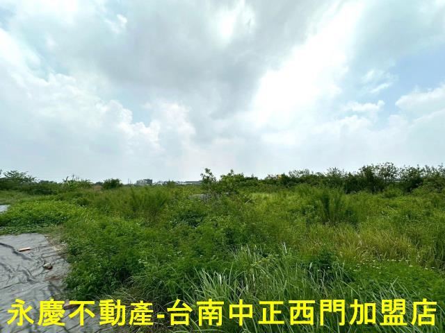 安南農地-11