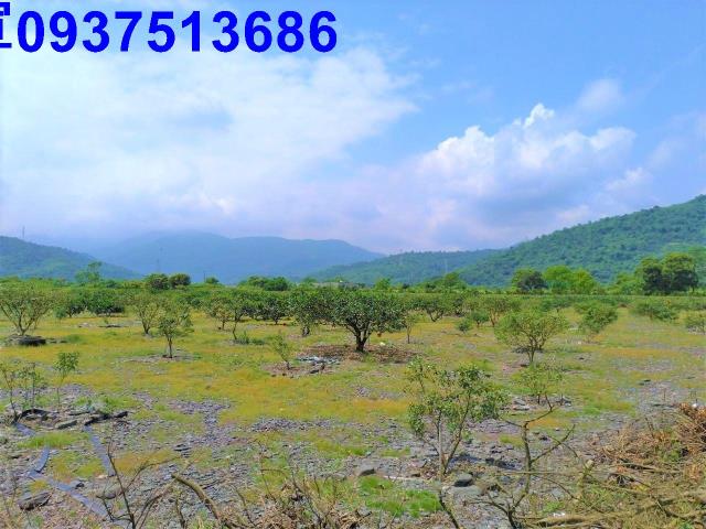 冬山農地-9