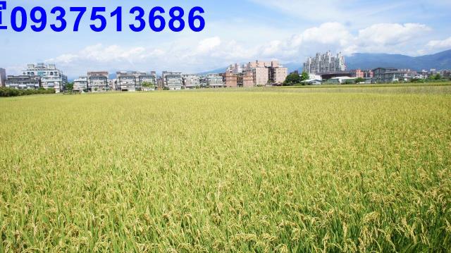宜蘭市農地-13