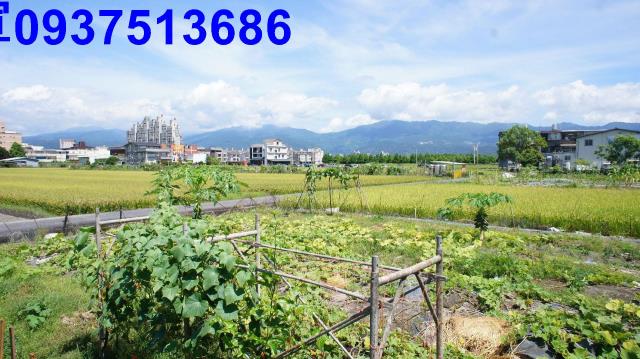 宜蘭市農地-2