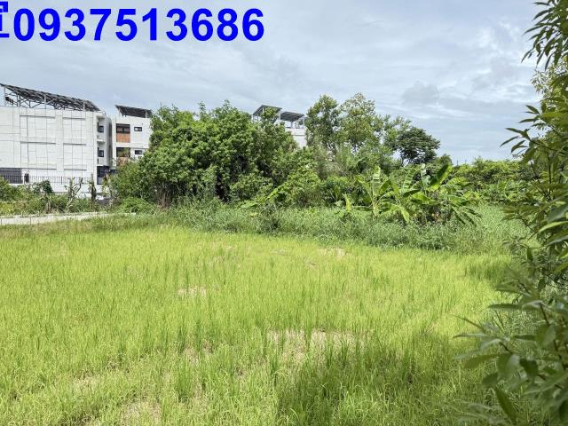 冬山農地-4