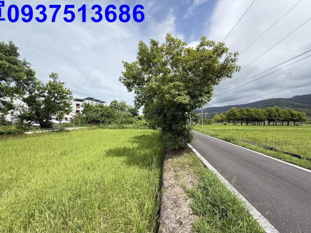 冬山農地-0