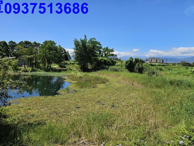 員山農地-9